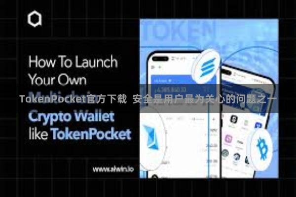 TokenPocket官方下载 安全是用户最为关心的问题之一