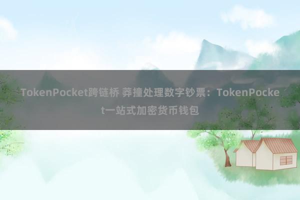 TokenPocket跨链桥 莽撞处理数字钞票：TokenPocket一站式加密货币钱包