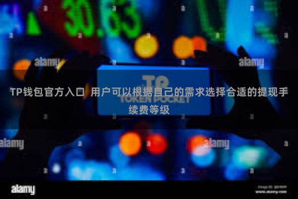 TP钱包官方入口  用户可以根据自己的需求选择合适的提现手续费等级